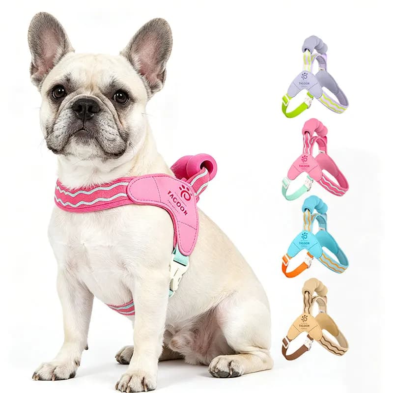 Imbracatura per cani Saddle Saddle, regolabile e morbida, tipo gilet per Bulldog Francese, con maniglia, traspirante e riflettente, per passeggiate all'aperto