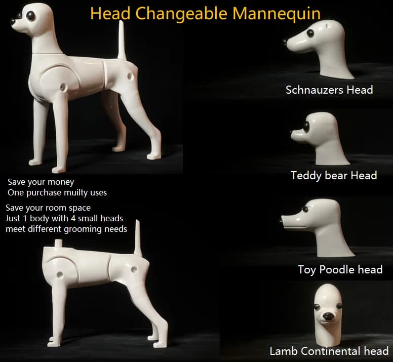 Modello di toelettatura multifunzione manichino per cani Display scheletro in plastica per cani per toelettatore per animali domestici 1 corpo 4 testa intercambiabile