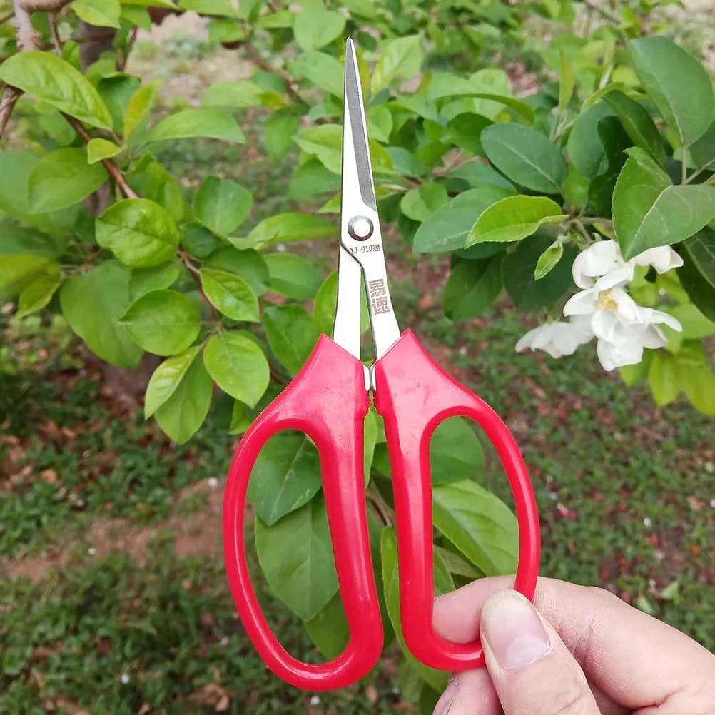 Forbici da Potatura Professionali per Piante in Vaso, Fiori, Alberi da Frutto, Corpo Compatto e Resistente, Materiale Anti-Usura, Facili da Usare