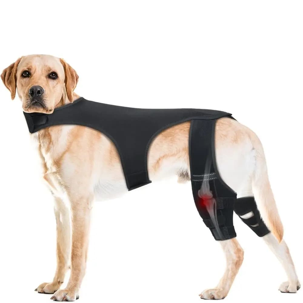 Supporto per Ginocchio Regolabile per Cani, Traspirante e Resistente, Supporto per Articolazioni con Design Riflettente, Protezione per Ferite al Ginocchio degli Animali Domestici