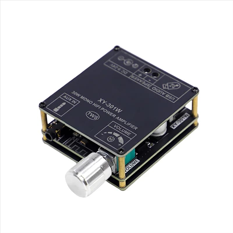 【A10R】Scheda amplificatore audio digitale Bluetooth XY-301W Mono 30W TWS Vero altoparlanti wireless Connessione stereo