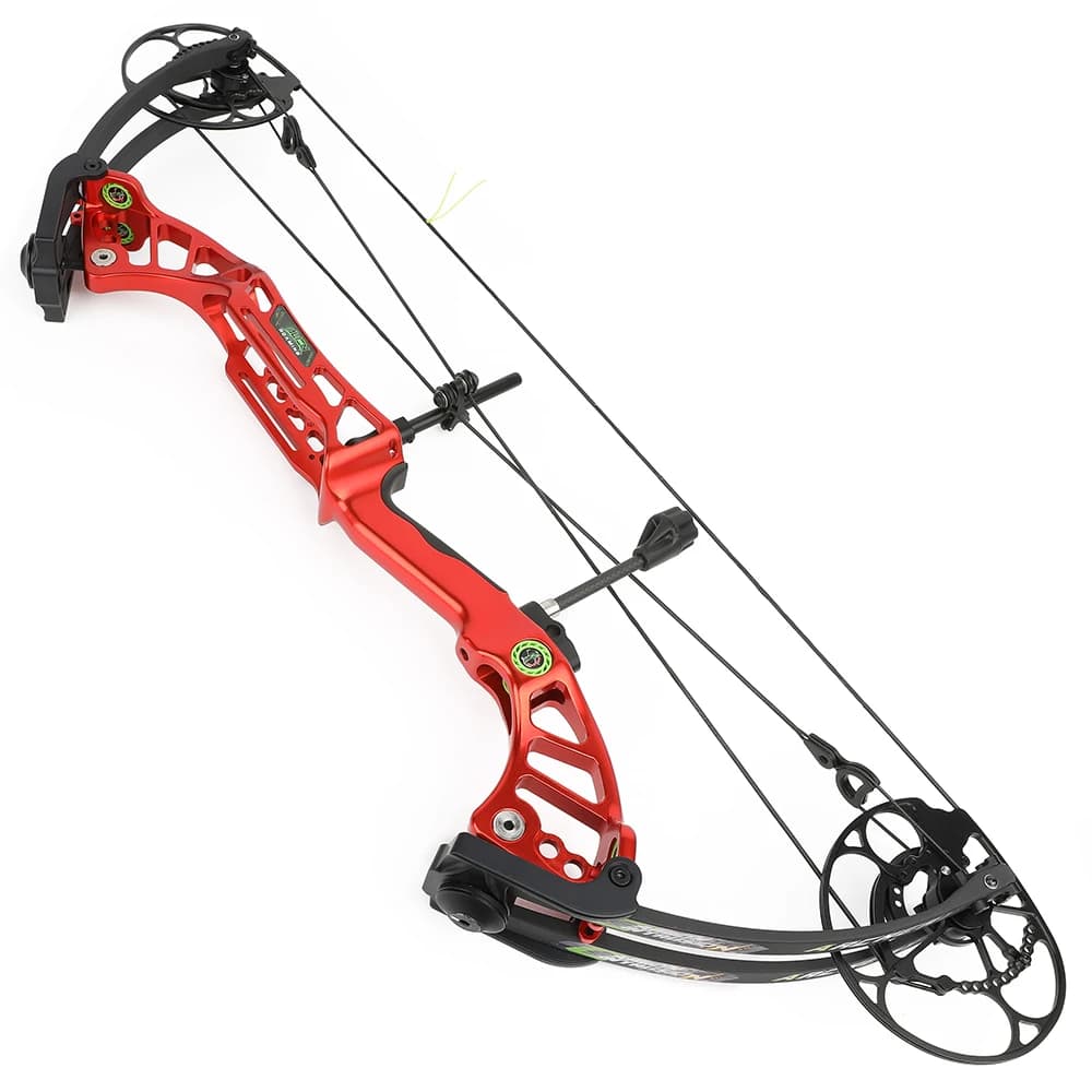 40-75lbs Arco composto Set di frecce in carbonio Riser in lega CNC IBO 350fps Mano sinistra/destra Arco esterno Caccia Tiro con l'arco Bersaglio da tiro