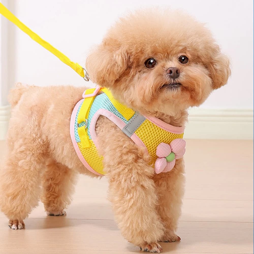 Pet Harness Leash Set with Cute Flower Design for Small Dogs Cats Breathable Mesh Vest Harness Puppies Walking and Training