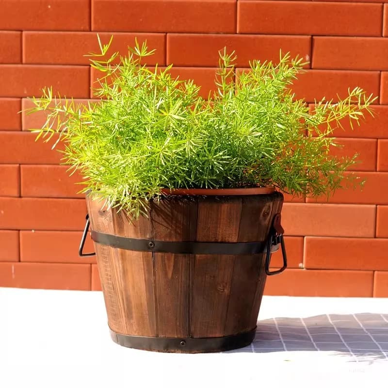 Secchio in legno, piccolo vaso per fiori, legno naturale carbonizzato e anticorrosione, orchidea, pianta in vaso in legno massello