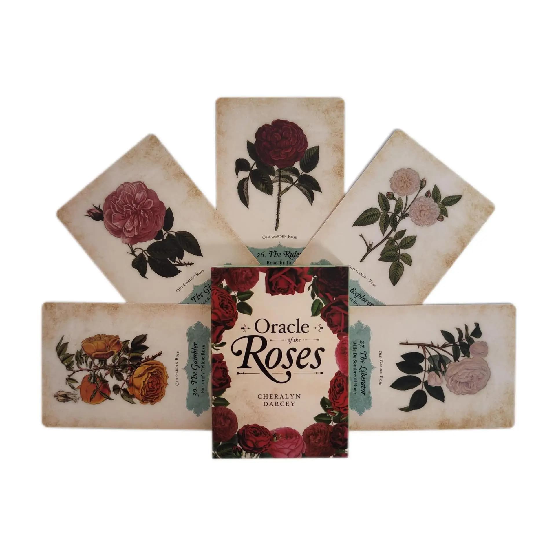Oracle of The Roses oracle cards giochi da tavolo Family Party Fun Tarots gioco da tavolo