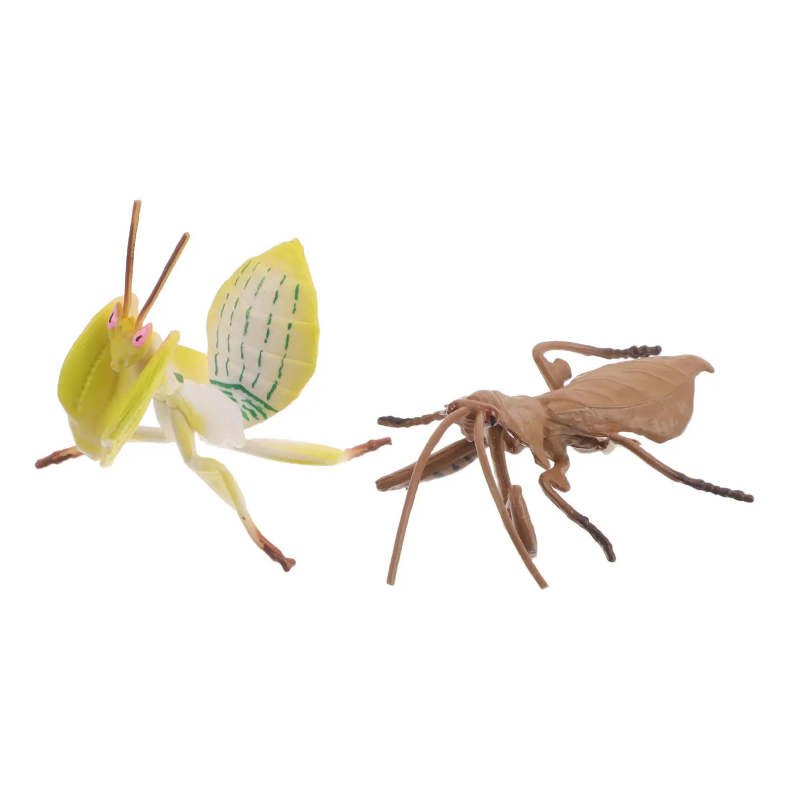 2 Pezzi Statua Realistica di Mantis, Insetto Artificiale per Esplorazione della Natura, Scultura di Mantis Prendipredato, Decorazione da Giardino Educativa