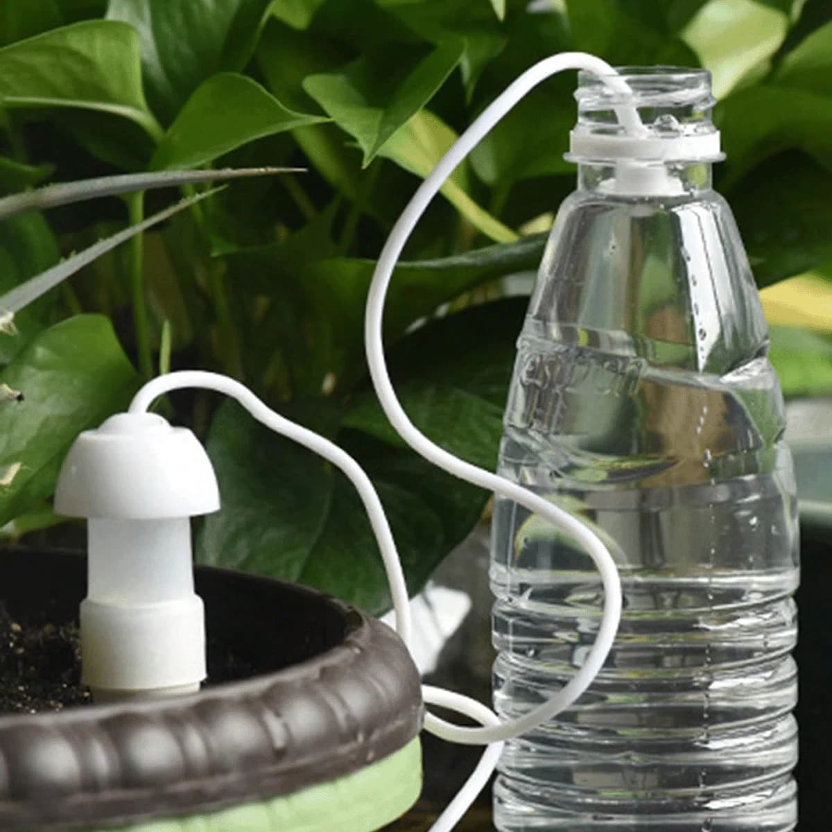 Dispositivo di irrigazione automatico a goccia per piante in vaso, 2/4 pezzi, irrigatore a goccia in ceramica, strumento da giardinaggio.