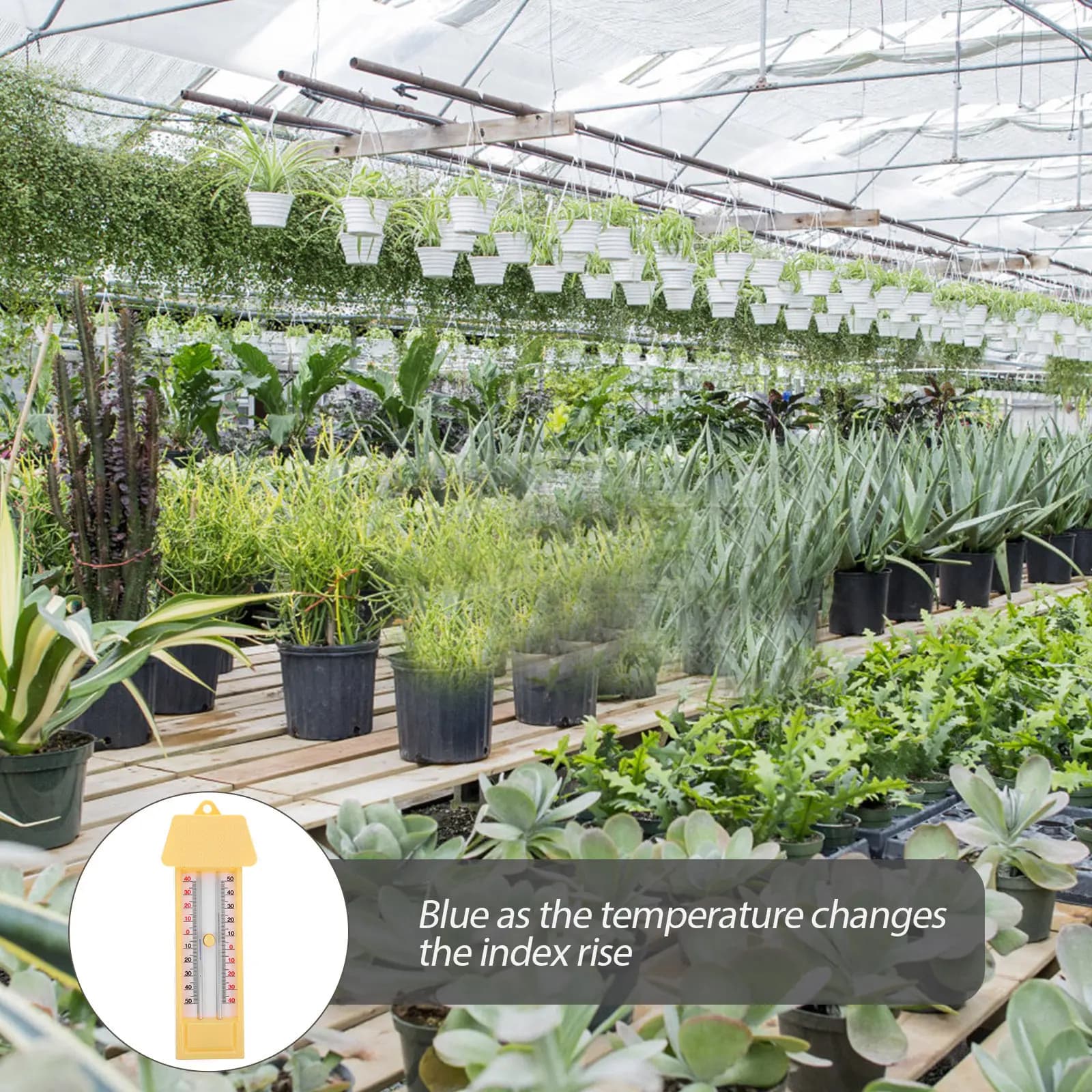 Termometro Portatile per Interni ed Esterni con Lancetta Blu, Doppia Lettura Celsius Fahrenheit, per Giardino e Serra