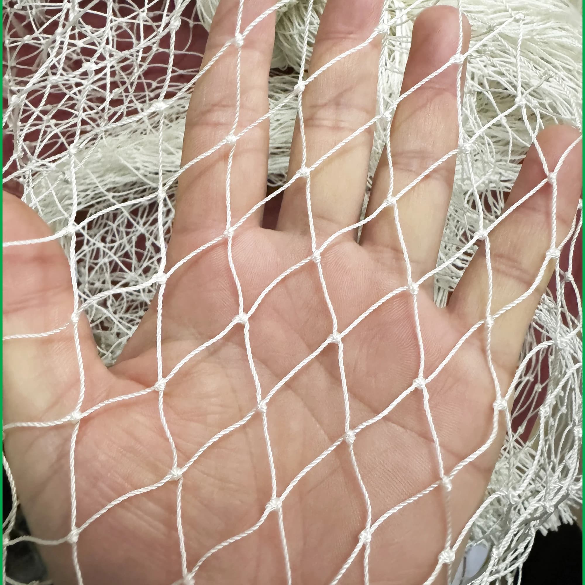 Rete in Nylon, 12 fili-2cm rete Anti-uccello-rete protettiva per colture di frutta da giardino, rete da pesca in Nylon rete per penna di pollo per cani e gatti