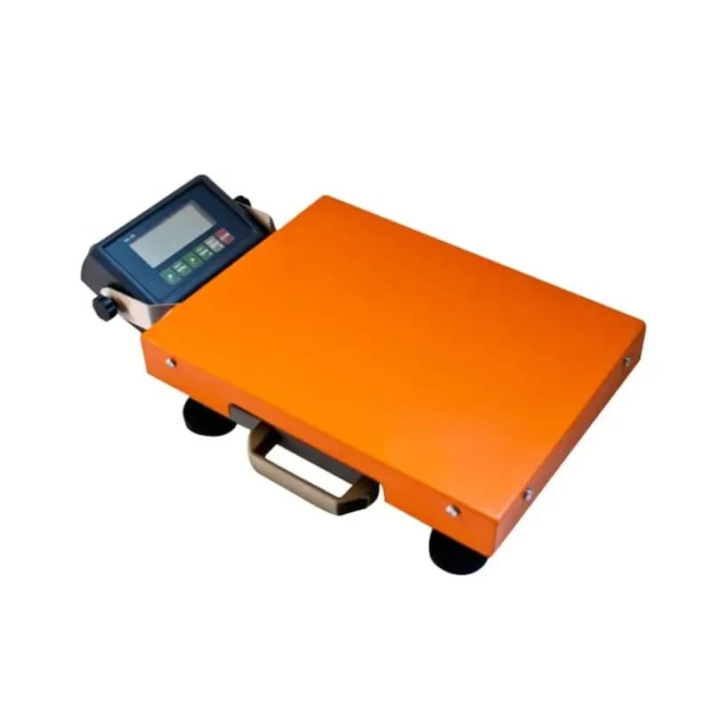 Bilancia per bagagli digitale portatile Bilancia per piattaforma da 100 kg
