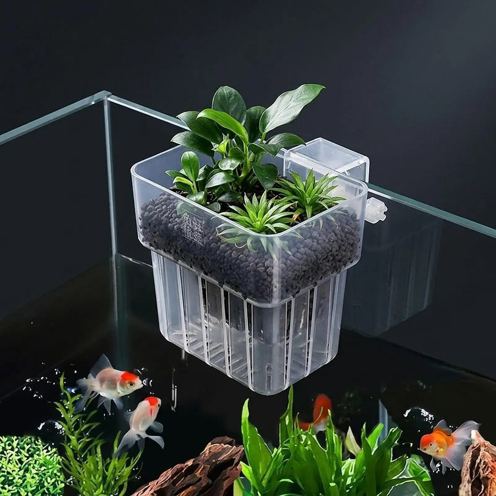 10 Pieces Aquarium Plant Holder Transparent Secure Decorations with Hooks and Suction Cups Fish Tank Plant Holders Top Hanging