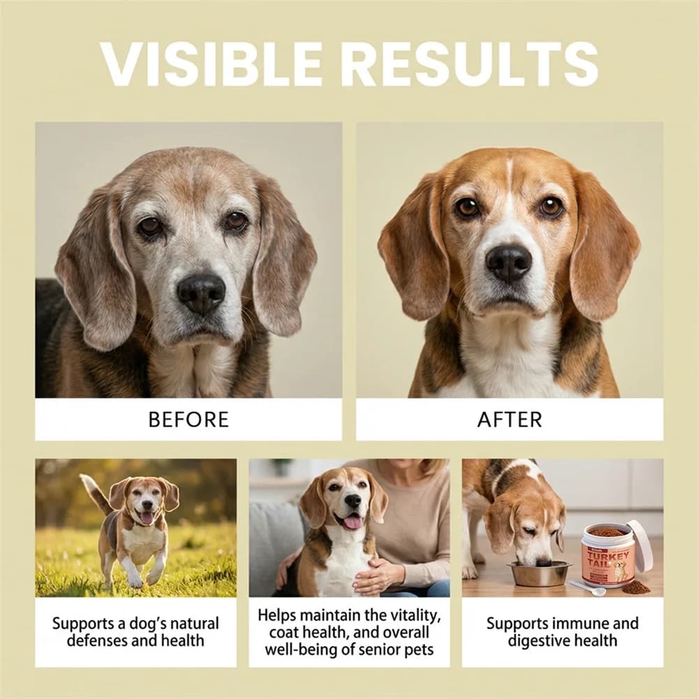 Integratore giornaliero per cani anziani per la cura completa quotidiana delle articolazioni e del pelo del tuo cane. Comfort Accogliente