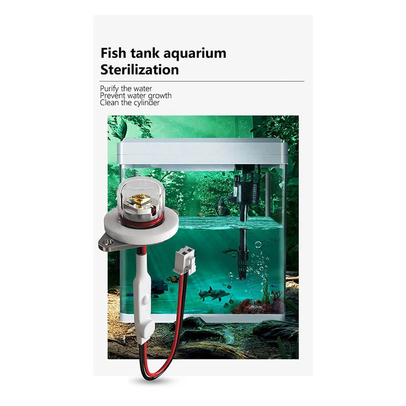 Offerta Globale - Modulo di Sterilizzazione e Disinfezione UVC 270-280NM 3X DC12-24V per Purificatore d'Acqua, Dispenser per Animali Domestici, Umidificatore