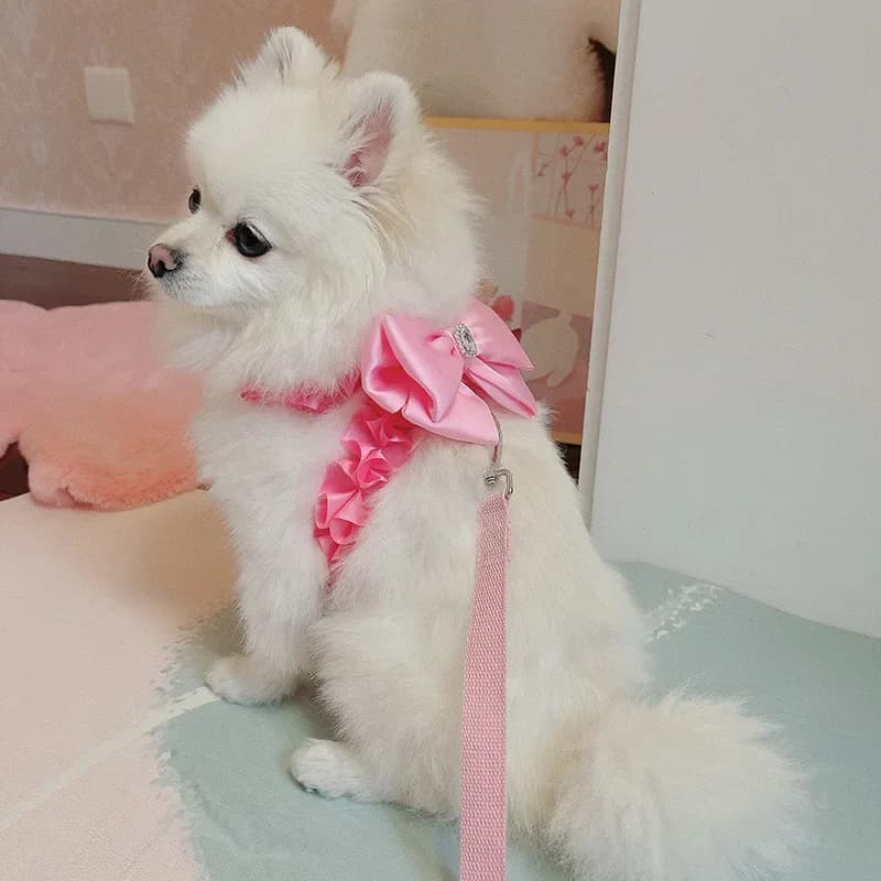 Corda di trazione per imbracatura per cani da cucciolo Set di corde per imbracatura per arco rosa coreano carino per cani di piccola taglia e media Imbracatura per guinzagli esterni Yorkshire