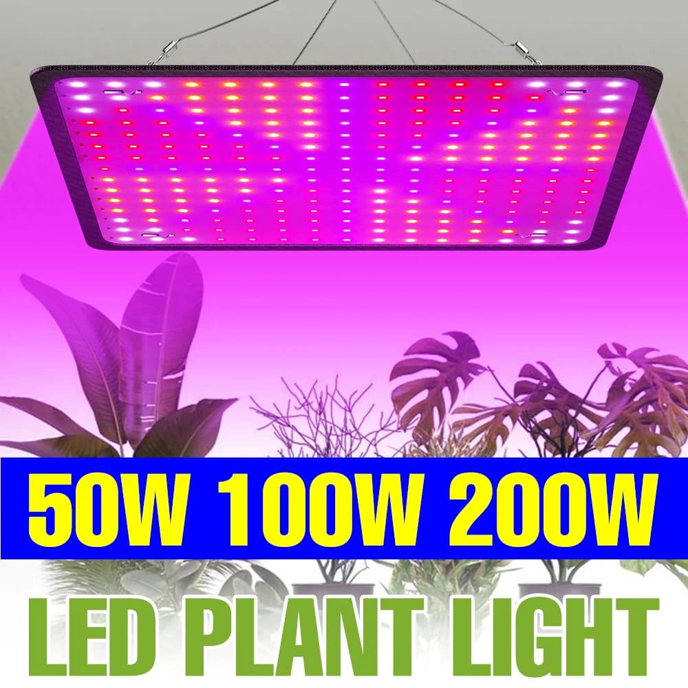 Indoor 200W Cultivation LED Lamp, Complete Spectrum, for Semi, Serre and Blinds, Lighting for Fruit and Flowers Cultivation