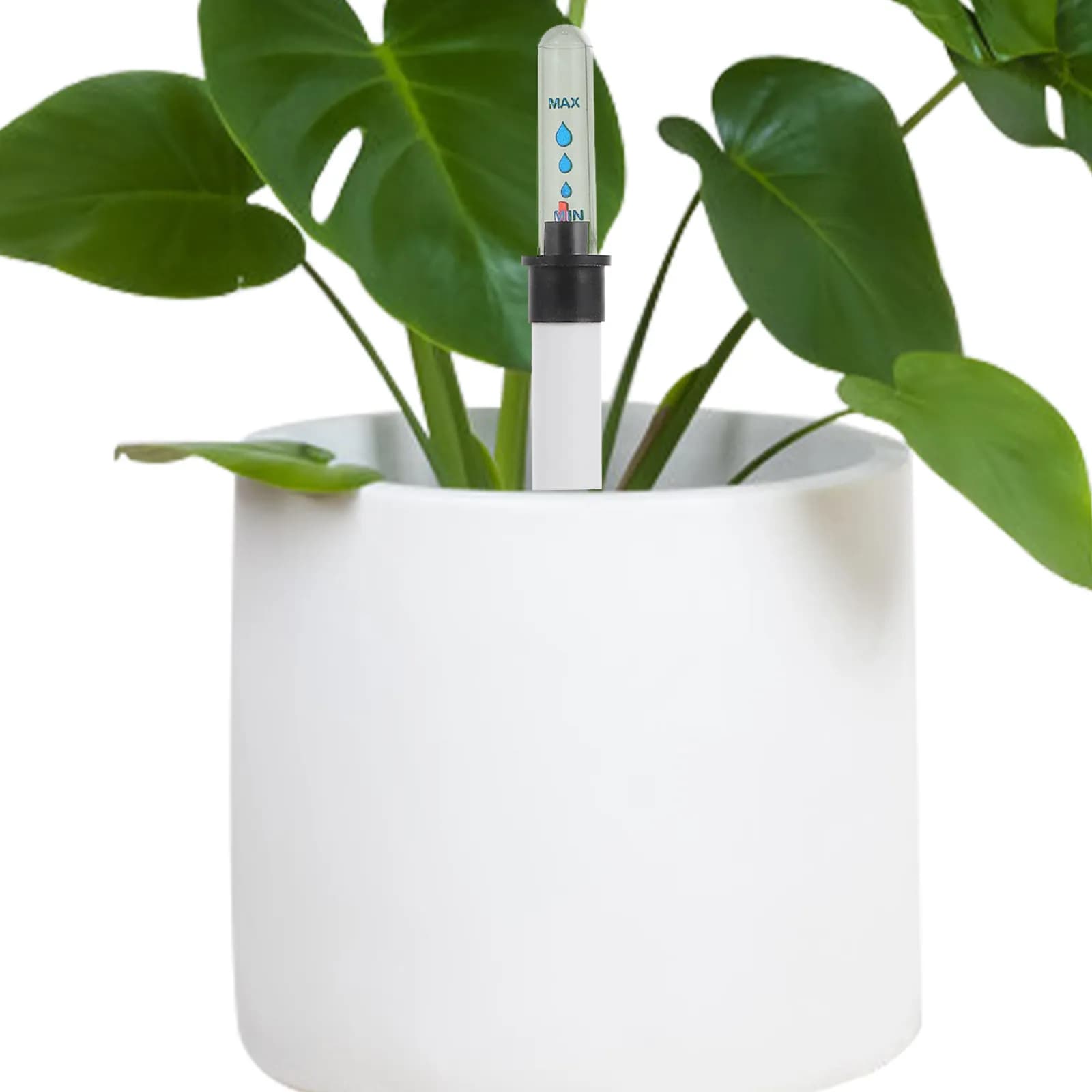 10 Pezzi Indicatore di Livello dell'Acqua per Piante con Galleggiante e Display, Promemoria di Disidratazione per Vasi da Fiori Interni ed Esterni