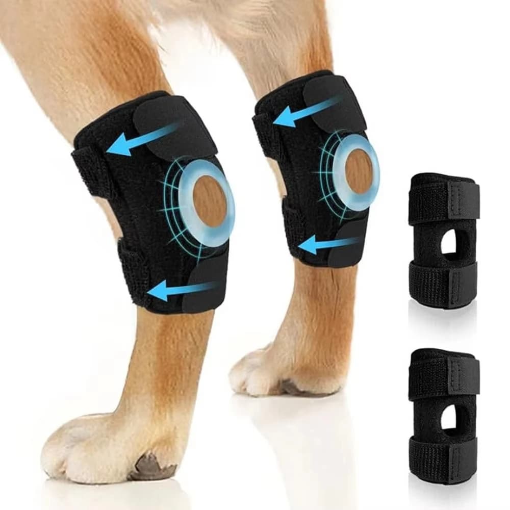 Fascia Protettiva per Articolazioni della Gamba del Cane, Supporto per Ginocchio, Recupero da Lesioni e Artrite