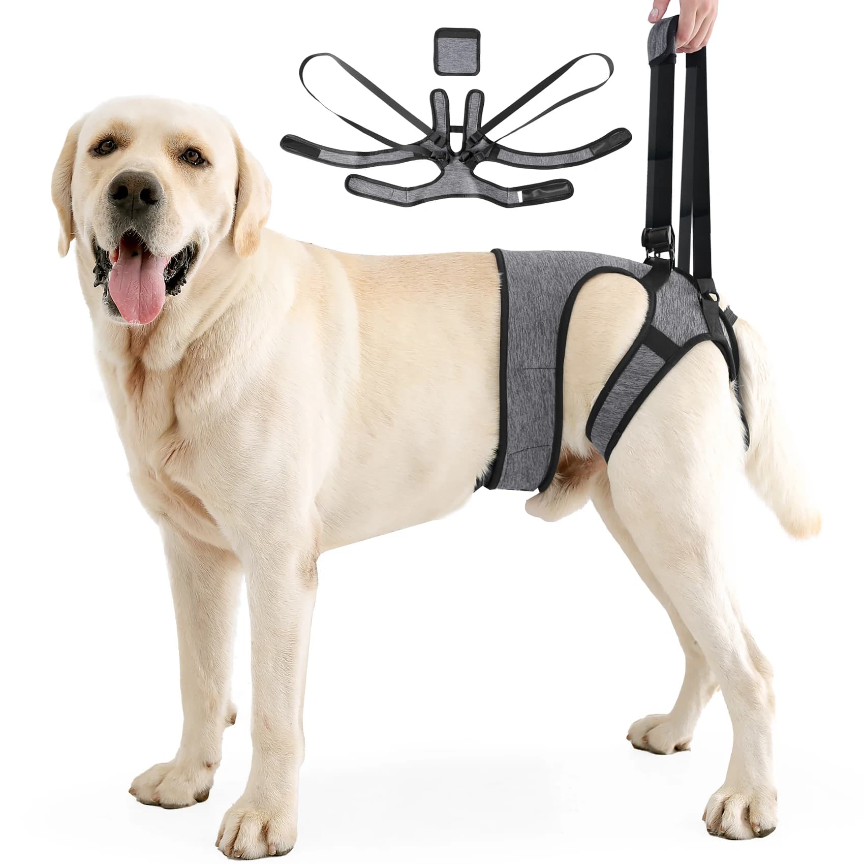 Imbracatura per sollevamento cani, Imbracatura per cani per le gambe posteriori, Imbracatura per cani per aiutare a sollevare e camminare, Supporto per imbracatura regolabile per le gambe posteriori dei cani