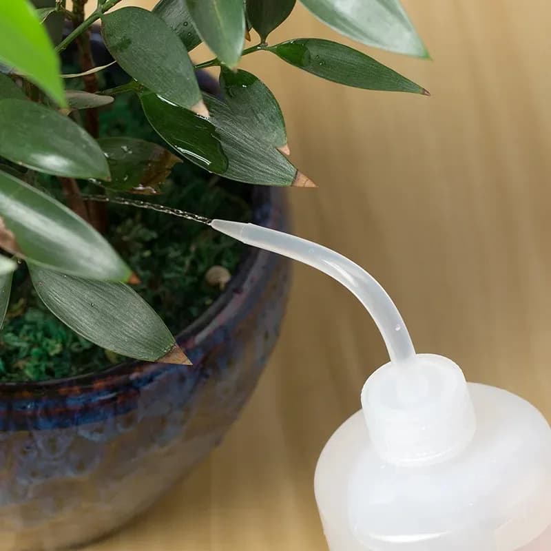 Bottiglia con Beccuccio per Innaffiare da 150/250/500mL, Attrezzo per Piante Succulente e Fiori, Annaffiatoio a Pressione con Utensili da Giardinaggio