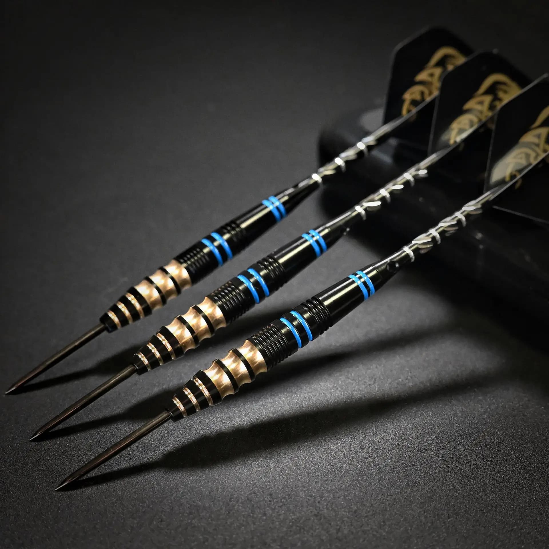Set di 6 Freccette Professionali con Punta in Acciaio al Tungsteno, Scatola Portaoggetti, Aste in Acciaio, Punte da 22g, Lunghezza 165mm