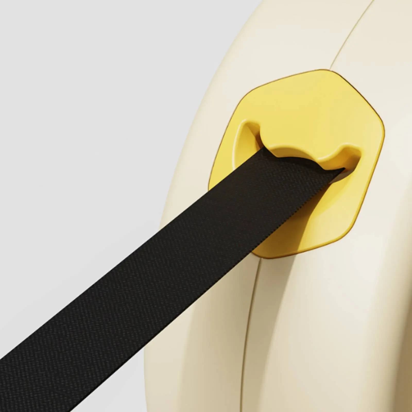 Guinzaglio Avvolgibile per Cani con Impugnatura Ergonomica, Nastro in Nylon Resistente per Esterni