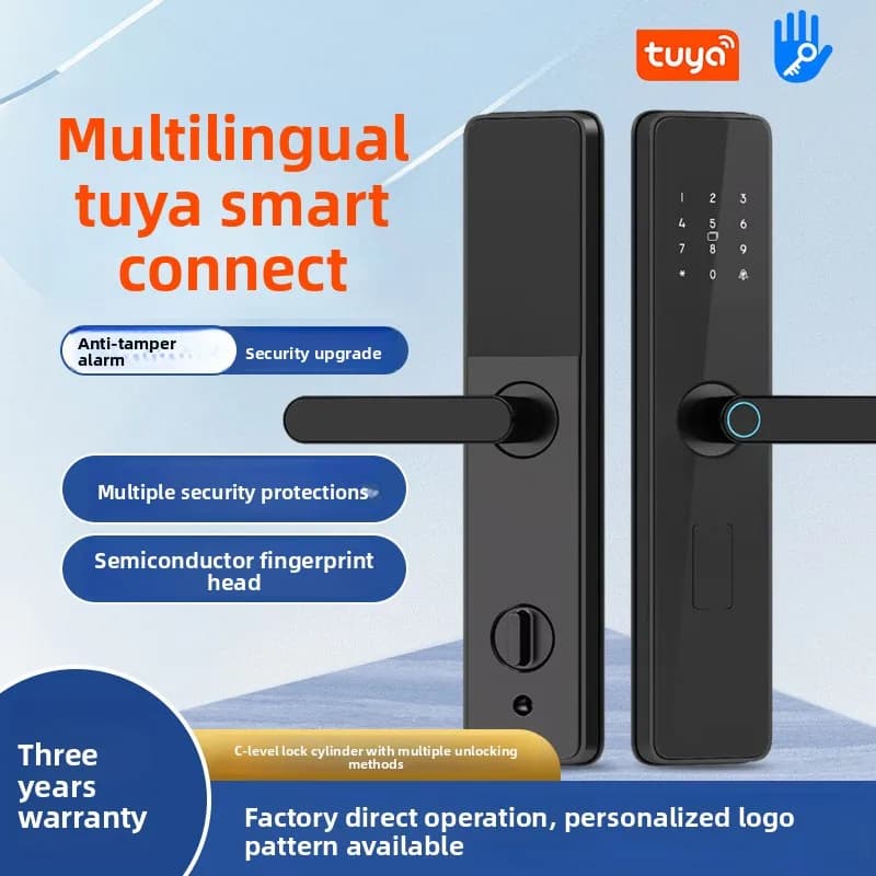 Serratura Intelligente All Graffiti con Password e Impronta Digitale per Porte