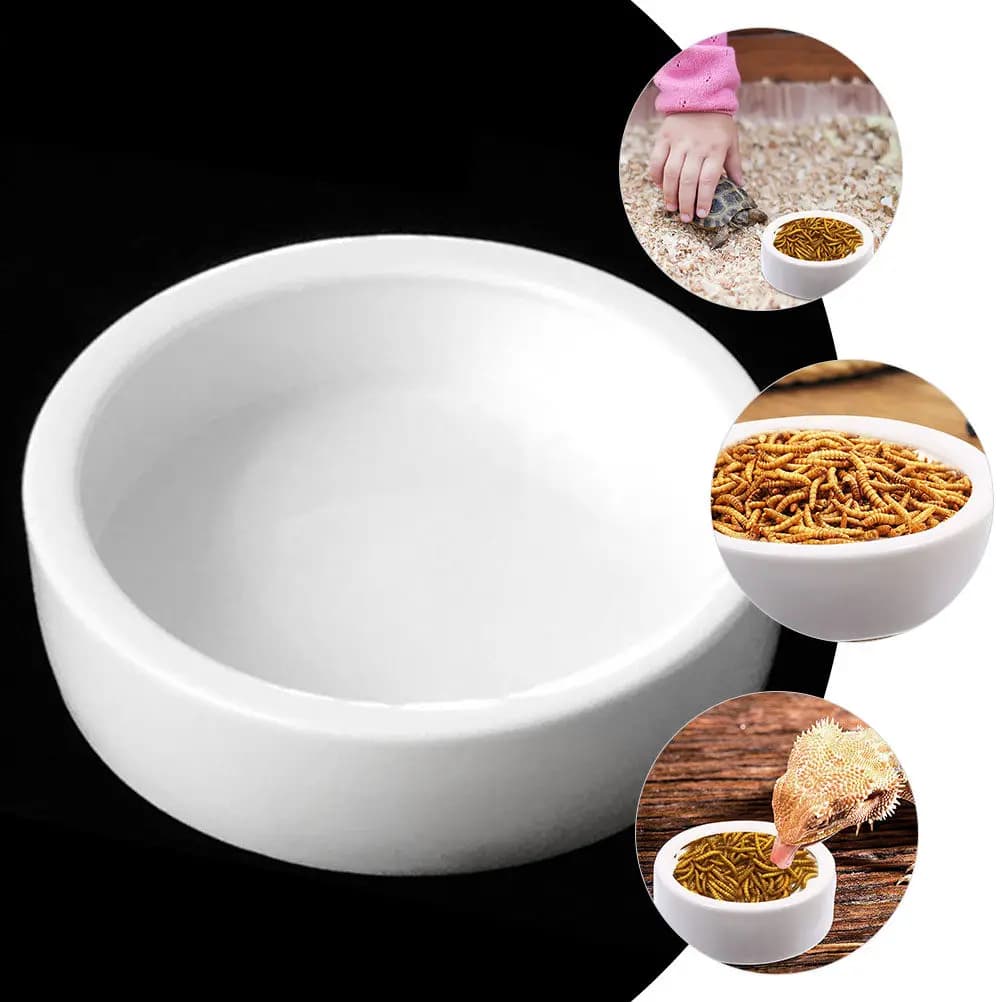 2 Pezzi Ciotola Anti-Fuga per Rettili in Ceramica, Piatto per Cibo e Acqua per Lucertole, Gechi, Serpenti, Tartarughe e Animali Striscianti