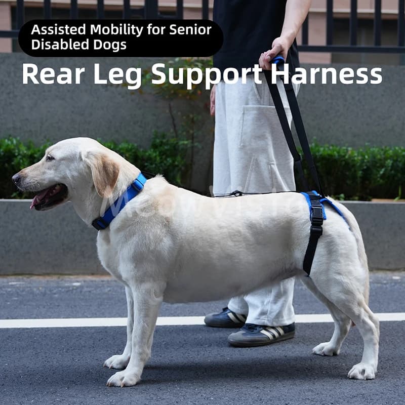 Adjustable Senior Dog Rear Leg Support Lift Harness Pet Rehabilitation Walking Aid Harness for Medium Large Dog Up Down Stairs