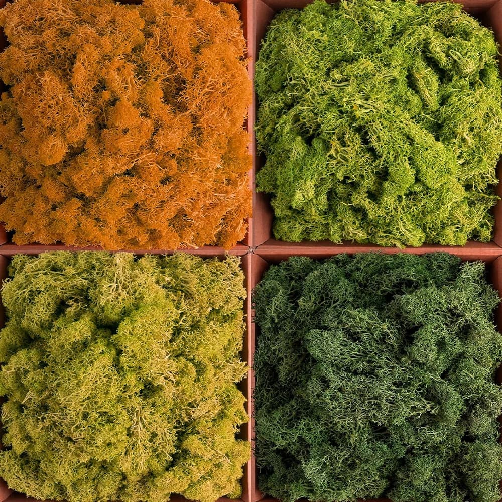 500g/1000g Mini landscape eternal life moss grass fake grass green plants home garden decoration crafts DIY