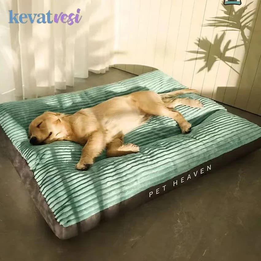 Cuccia per Cani in Velluto a Coste, Tappetino Caldo Invernale per Cani, Letto per Cuccioli Staccabile, Morbido Tappetino per Animali Domestici per Cani Piccoli, Medi e Grandi, Accessori per Cani