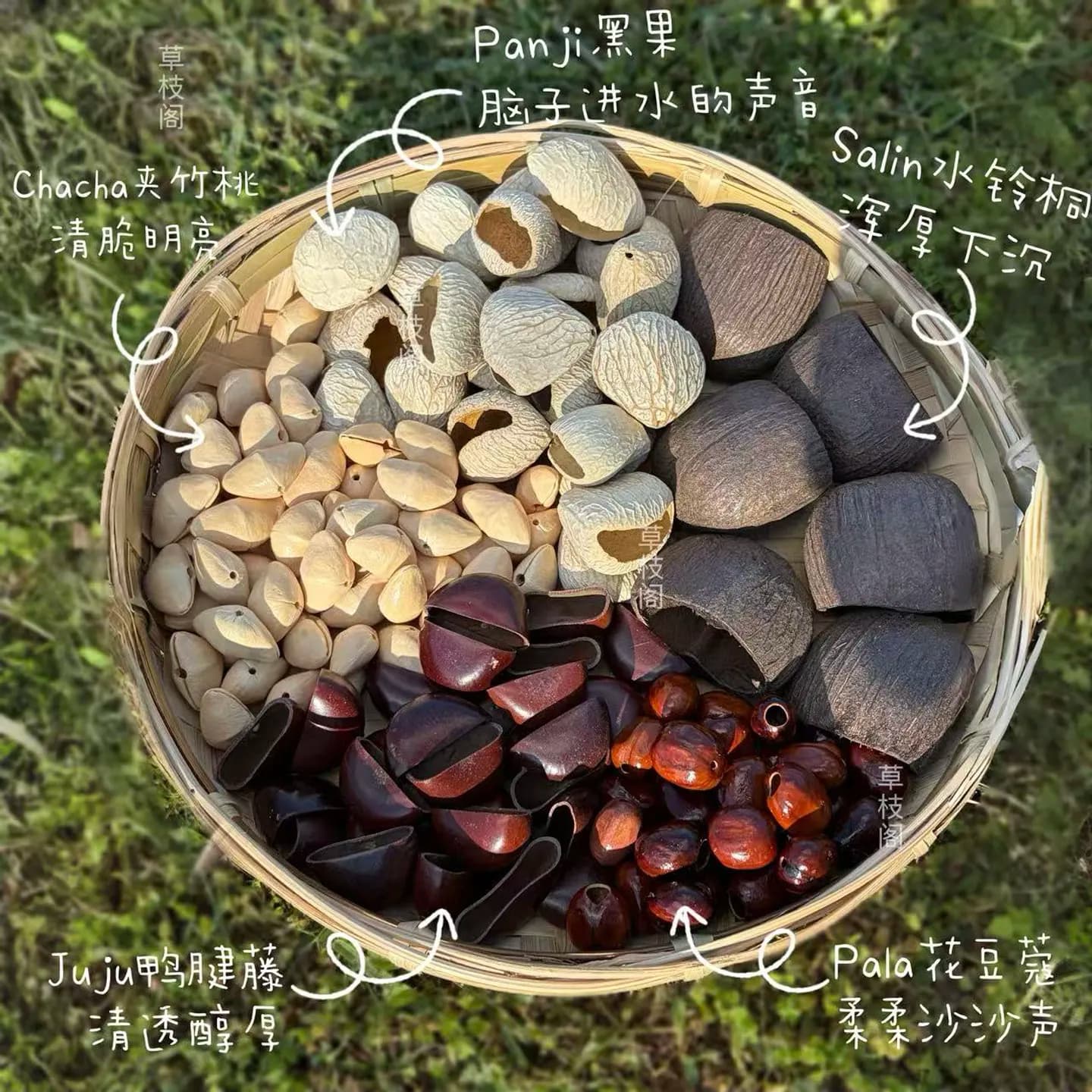 Plant Shell Material DIY Handmade Accessories Panji Black Fruit Wind Chimes Imported From Indonesia Niche Meditation Sound Thera