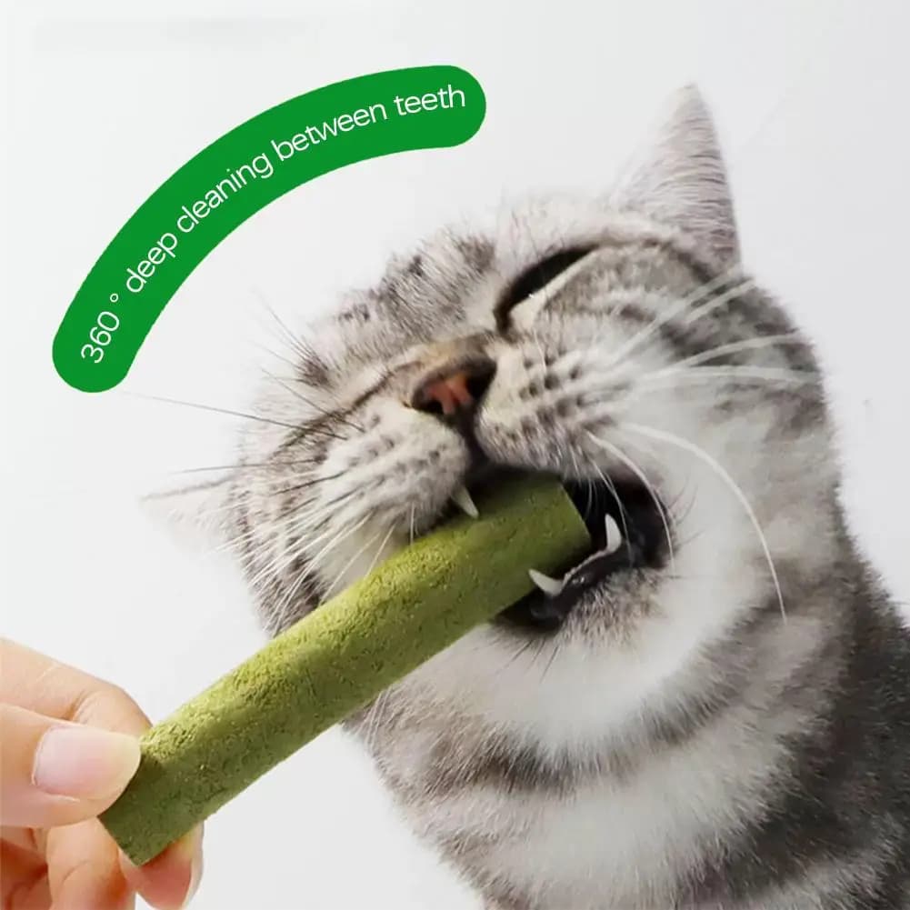 Bastoncini di Erba per Gatti, Giocattolo da Masticare per la Salute del Cavo Orale dei Gattini, Snack per Animali Domestici per la Pulizia dei Denti e la Rimozione dei Gomiti di Pelo
