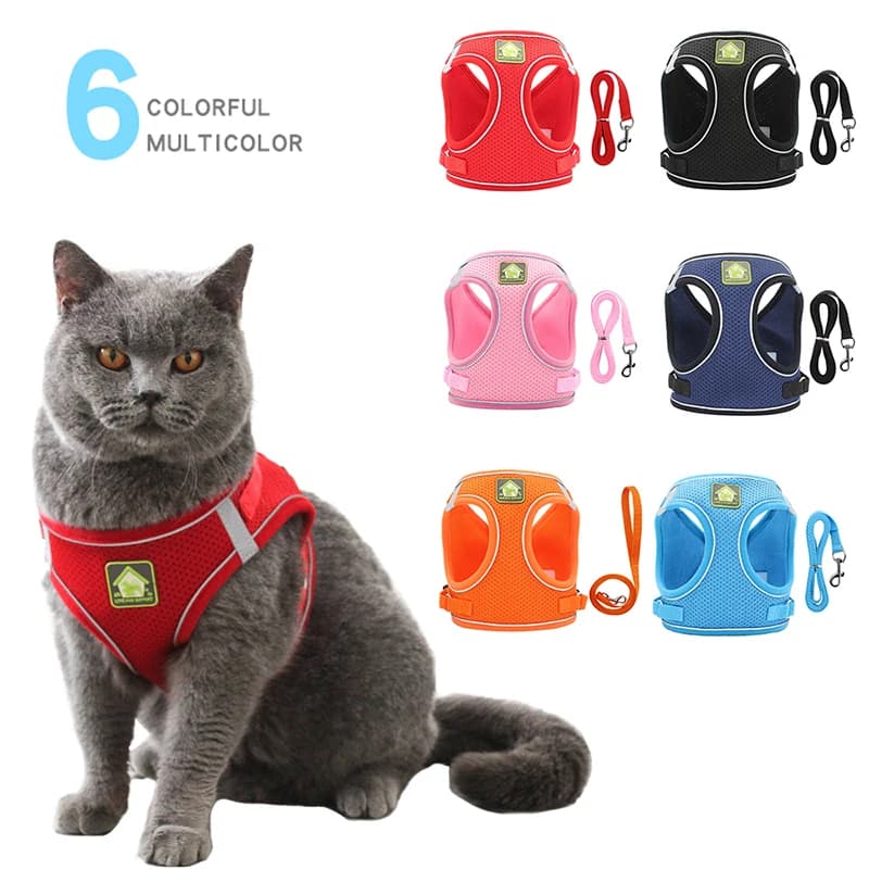 Set di guinzagli per imbracature per gatti riflettenti per animali domestici Set di guinzagli per cuccioli in Mesh traspirante guinzagli in piombo regolabili per cani forniture per gatti