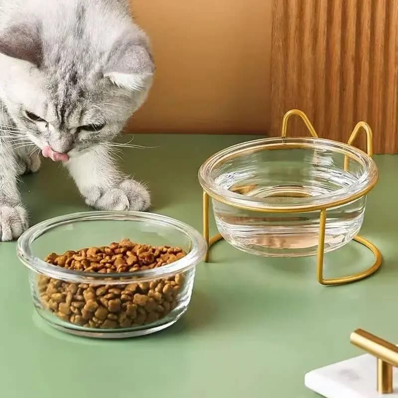 Ciotola in Vetro per Cani e Gatti con Supporto in Ferro Dorato, Ciotola Rialzata per Acqua e Cibo, Accessori per Animali Domestici