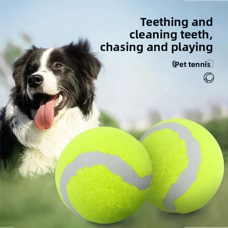 Dog Toy Bouncy Tennis Ball Large Medium Small Dogs Chew Resistant Durable Toy Rubber Training Ball Pet Supplies