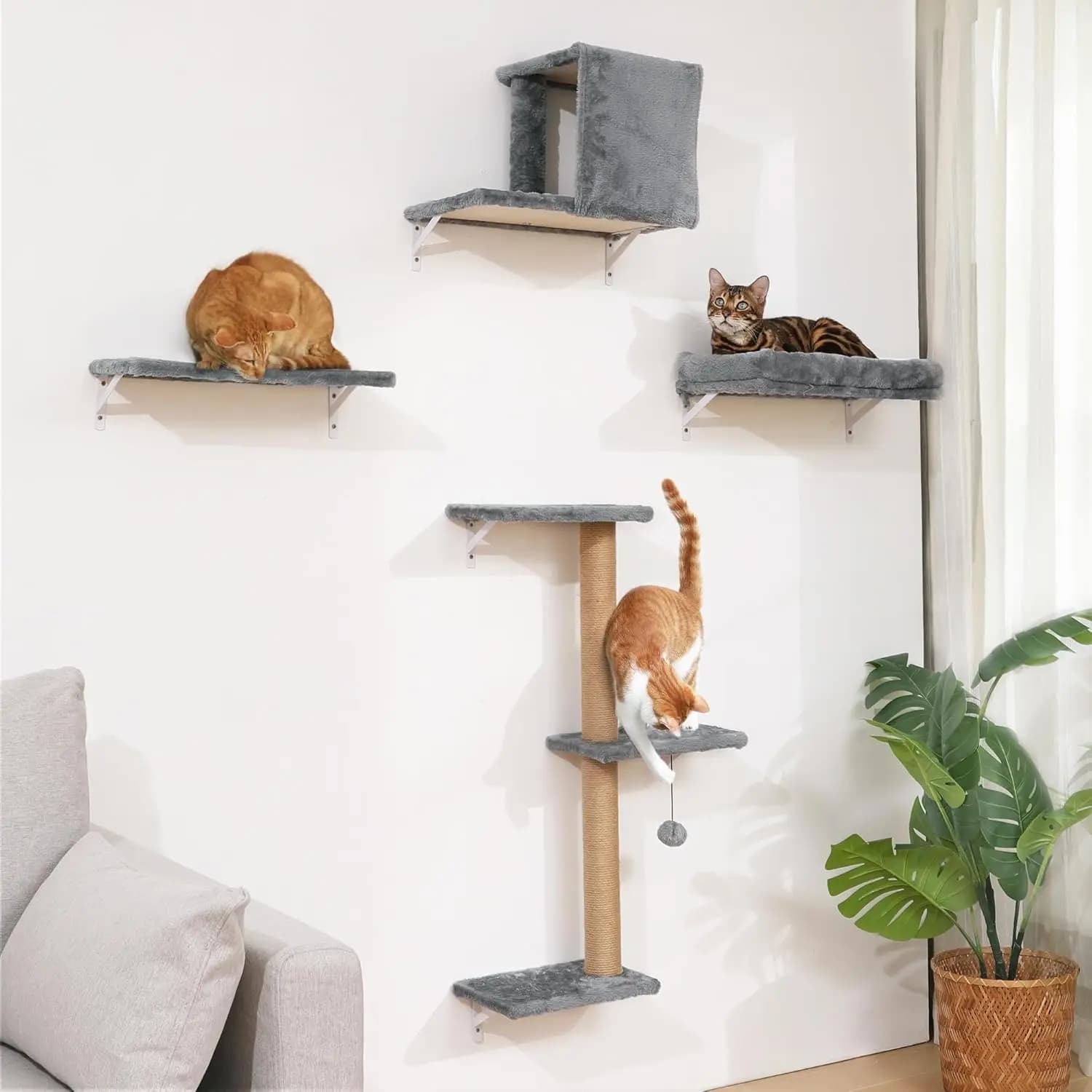 Mensole da Parete in Legno Grigio per Gatti, per Cartongesso da 16 Pollici, Stabili e Sicure per il Arrampicarsi dei Gattini