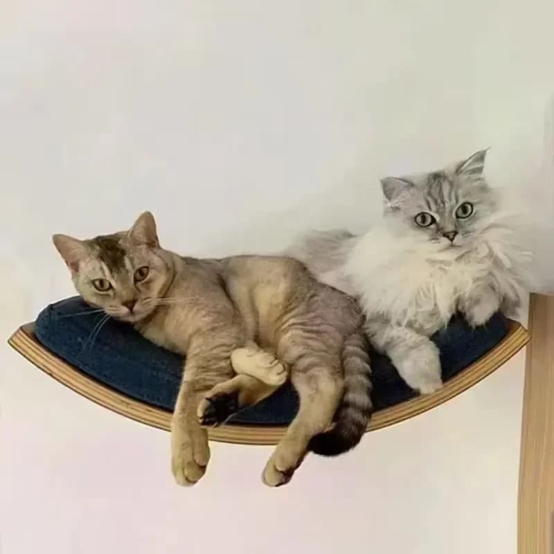 Solid Wood Climbing Frame Wall Hanging Cats Nest Tree Jumping Platform Not Easily Deformed Pet Furniture Products