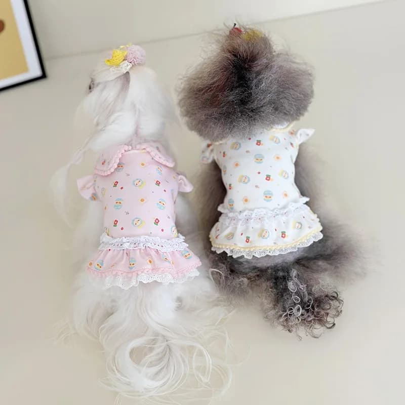 Collare per animali domestici Gonna soffice Gatto Cane Autunno Inverno Collare per bambola pulcino Pizzo di puro cotone e abito base in peluche Vestiti per cani di piccola taglia