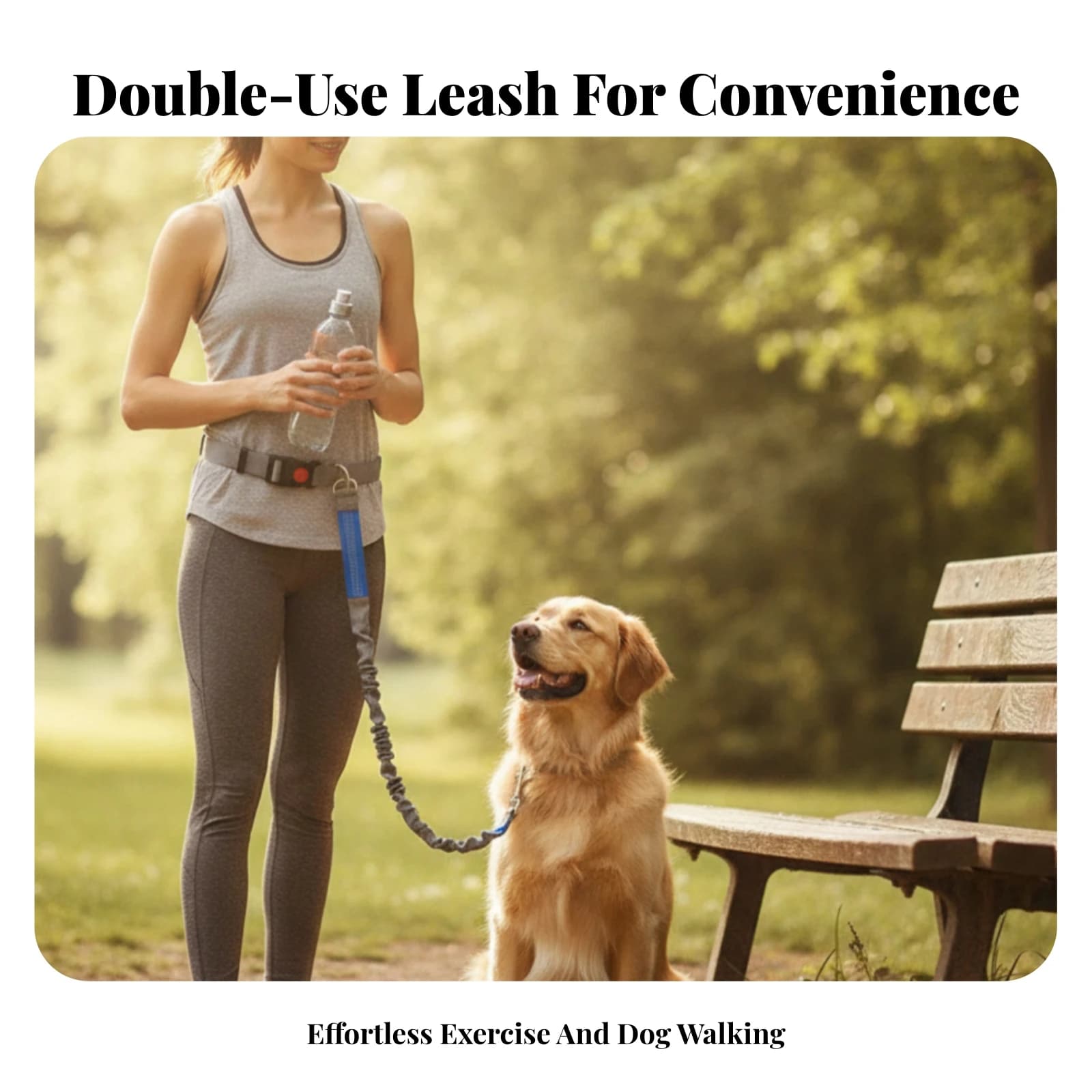 Metal D-Loop Double-Use Pet Gear Leash and Collar Combo Adjustable Collar Leash Set Elastic for Control, Walking