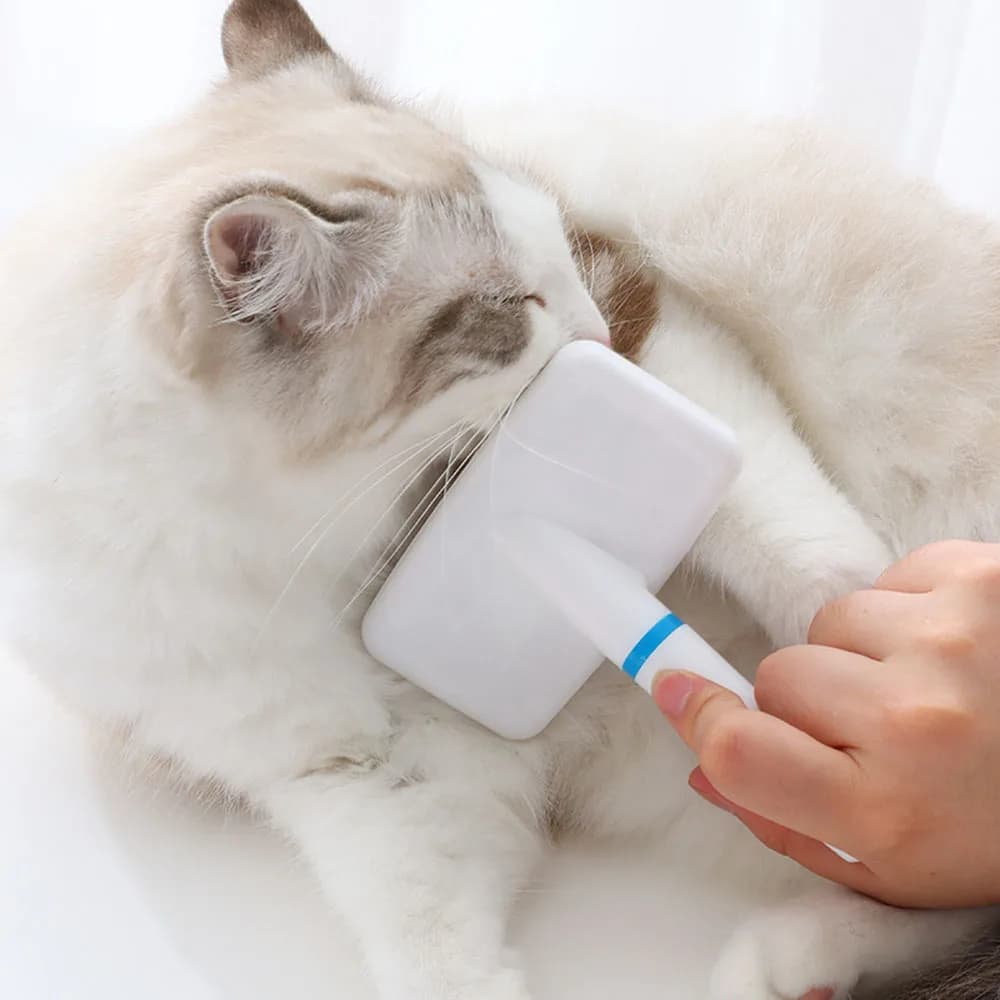 Pettine per Cani con Manico, Classico Pettine a Cuscino d'Aria per Animali Domestici, Spazzola con Perni per la Toelettatura, Impugnatura Comoda, Adatto per Cani di Varie Razze