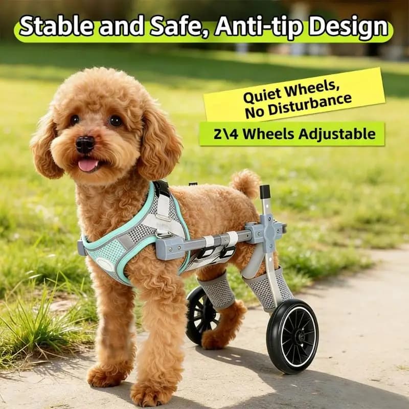 Dispositivo aiuto per animali Ruote per gambe per canini compromessi Confortevole struttura in ABS D2RD