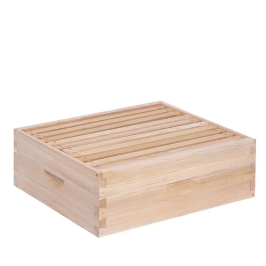 Arnia Super Langstroth Media per Apicoltura, Include Telai e Fondamenta Cerate