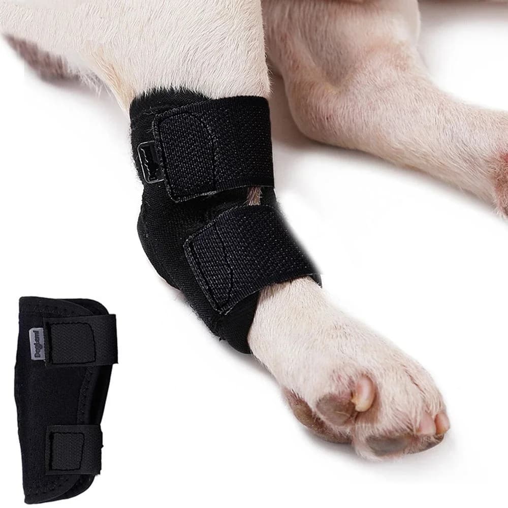 Ginocchiere per animali domestici Tutore di supporto per cani per gamba Hock Avvolgimento articolare Lesioni traspiranti Recupera le gambe Protezione per cani Accessori per cani con articolazione fissa
