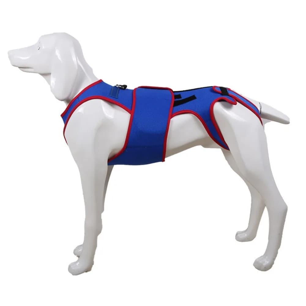 Adjustable Dog Back Brace Thickened Breathable Dog Soothing Clothes Comfortable Back Protector Pet Support Harness Walking
