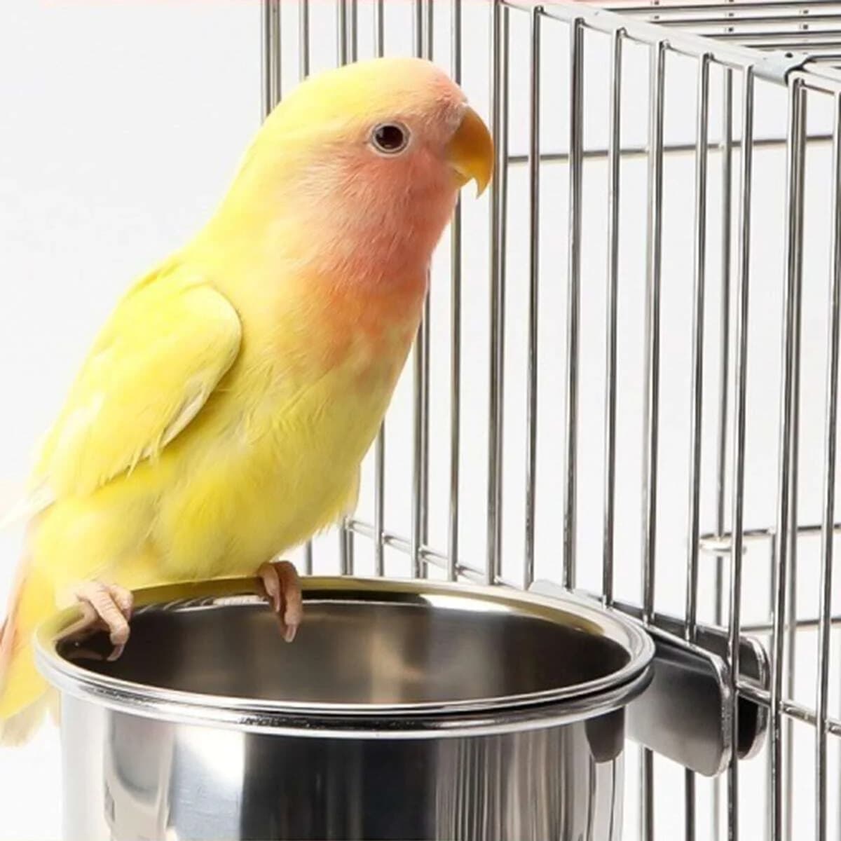 1pc-Stainless Steel Bird Feeder, Parrot Food Bowl, Feeding Box For Small Animal Pet Bird Cage Accessories