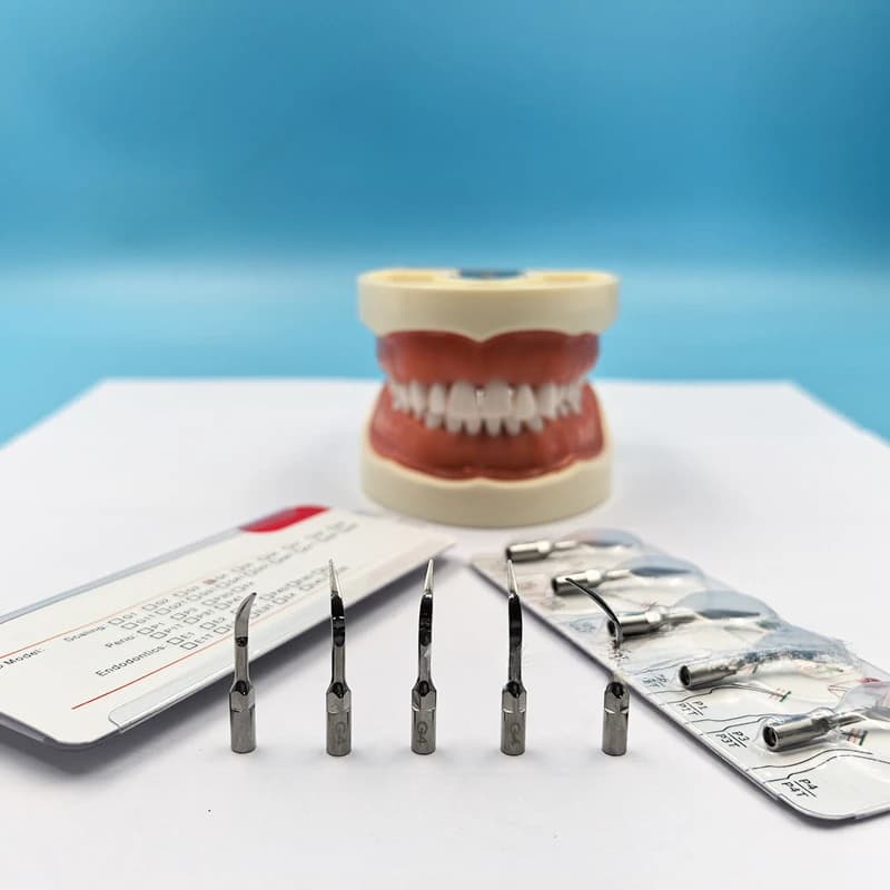 20 Pz Dentale Ultrasonic Scaler Point Scaling Endodonticity Measure Picchio Tooth Whitening Tools