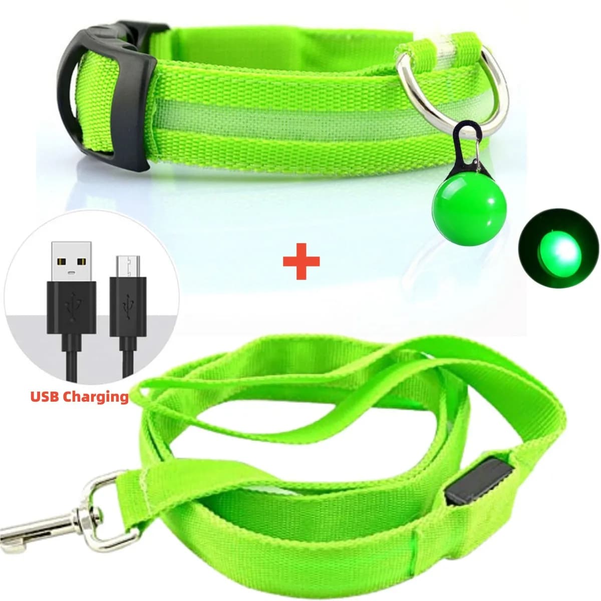 Collare per cani luminoso al guinzaglio luminoso a Led con Set di ciondoli luce di lusso per tipi di cani accessori per collare lampeggiante di sicurezza notturna per gatti