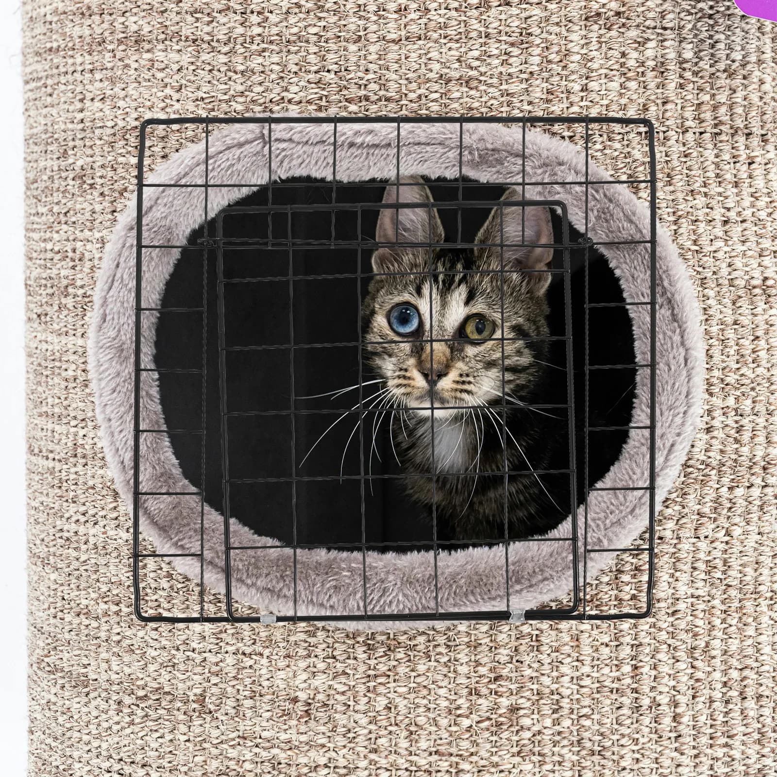 Porta per Gabbia per Animali Domestici Premium Resistente per Gatti, Cani, Conigli, Box Fai-da-te, Porta in Rete Metallica Smontabile, Accessori per Gabbie per Gatti