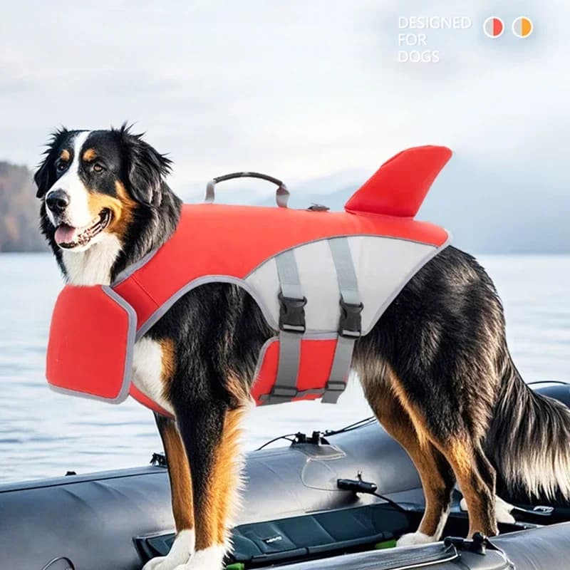 Nuovo Giubbotto di Salvataggio per Cani a Forma di Pinna di Squalo, Gilet di Sicurezza Regolabile per Cani per l'Estate, Ideale per Piscina o Surf
