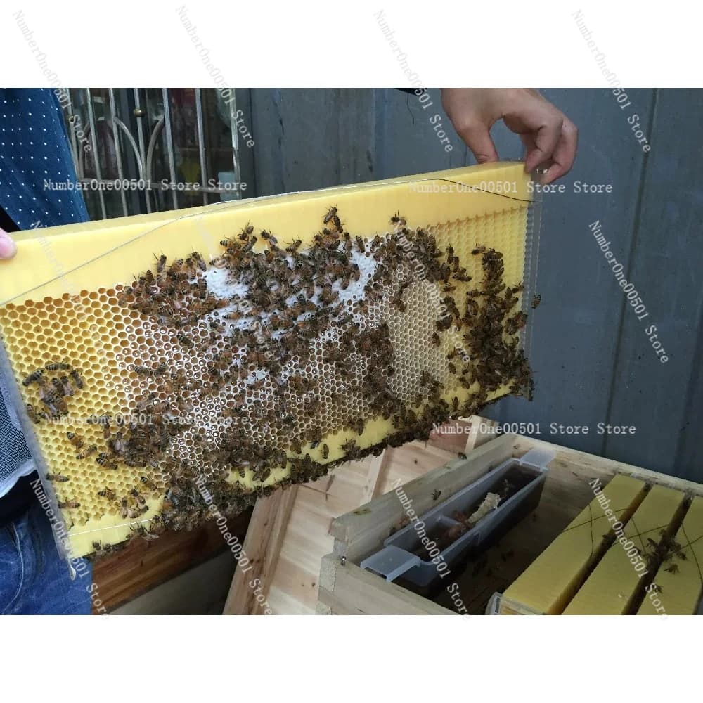 Flow Hive Auto Honey Harvesting Frame Plastic Honeycomb Foundation for Chinese Italian Bee Beehive Beekeeping Parts